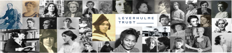 website banner 3 1024x237